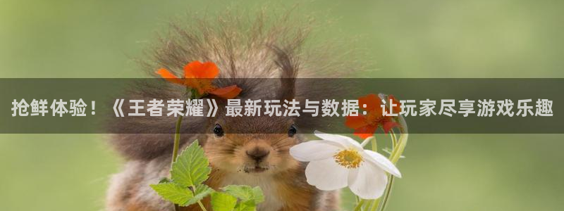 赢咖娱乐平台官方网站：抢鲜体验！《王者荣耀》最新玩法与数据：