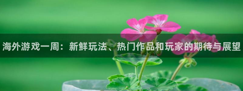 赢咖娱乐平台官网登录：海外游戏一周：新鲜玩法、热门作品和玩家