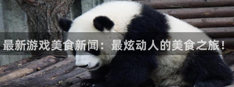 赢咖娱乐开户测速：最新游戏美食新闻：最炫动人的美食之旅！