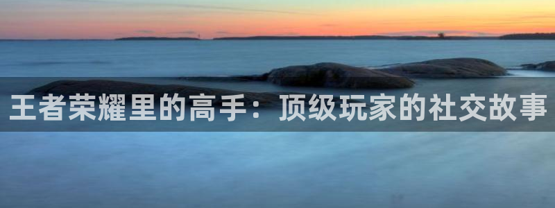 赢咖娱乐平台官网登录：王者荣耀里的高手：顶级玩家的社交故事
