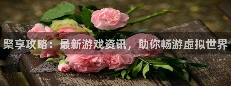 赢咖娱乐线路测试：棸享攻略：最新游戏资讯，助你畅游虚拟世界