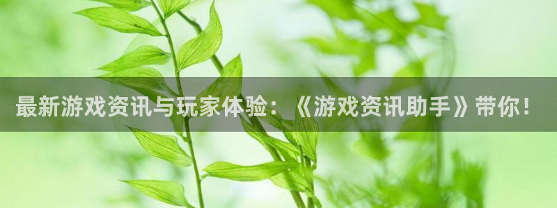赢咖娱乐游戏：最新游戏资讯与玩家体验：《游戏资讯助手》带你！