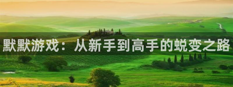 赢咖娱乐平台注册资金多少：默默游戏：从新手到高手的蜕变之路