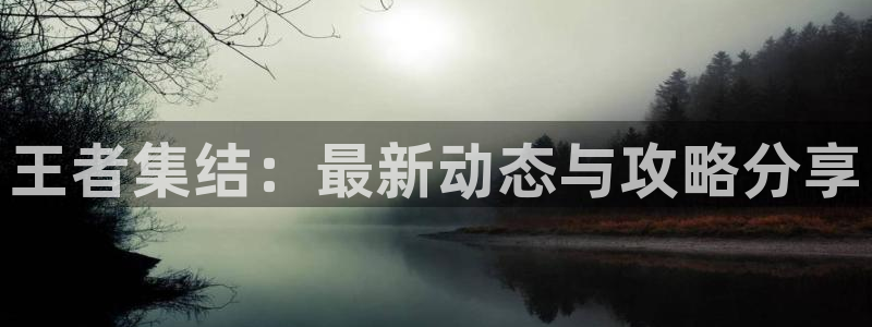 赢咖娱乐网页登录入口官网：王者集结：最新动态与攻略分享