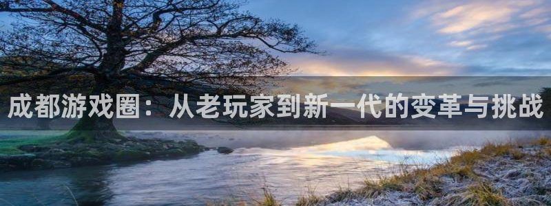 赢咖娱乐官方平台：成都游戏圈：从老玩家到新一代的变革与挑战