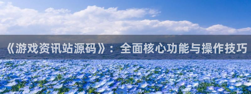 赢咖娱乐直属：《游戏资讯站源码》：全面核心功能与操作技巧
