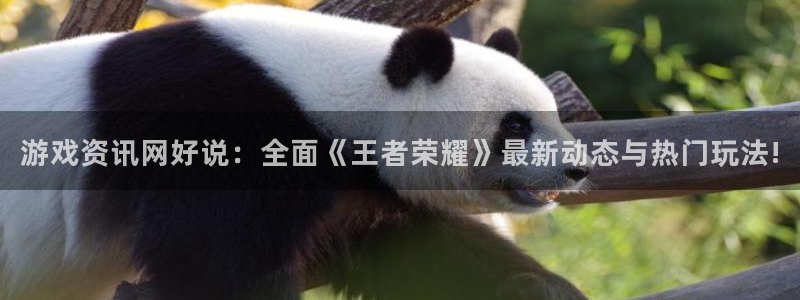 赢咖娱乐4开户：游戏资讯网好说：全面《王者荣耀》最新动态与热