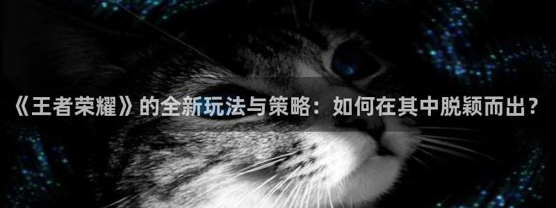 赢咖app官网最新版更新内容下载