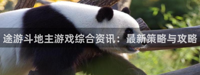 赢咖app下载最新版本更新内容：途游斗地主游戏综合资讯：最新