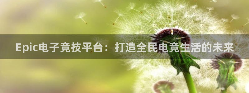 赢咖娱乐小鱼儿效果好：Epic电子竞技平台：打造全民电竞生活