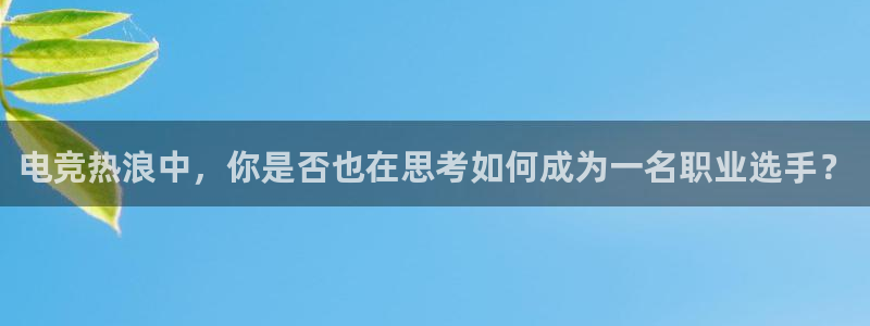 赢咖平台游戏官网：电竞热浪中，你是否也在思考如何成为一名职业