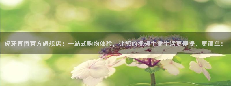 玩球直播看比赛：虎牙直播官方旗舰店：一站式购物体验，让您的视频主播生活更便捷、更简单！